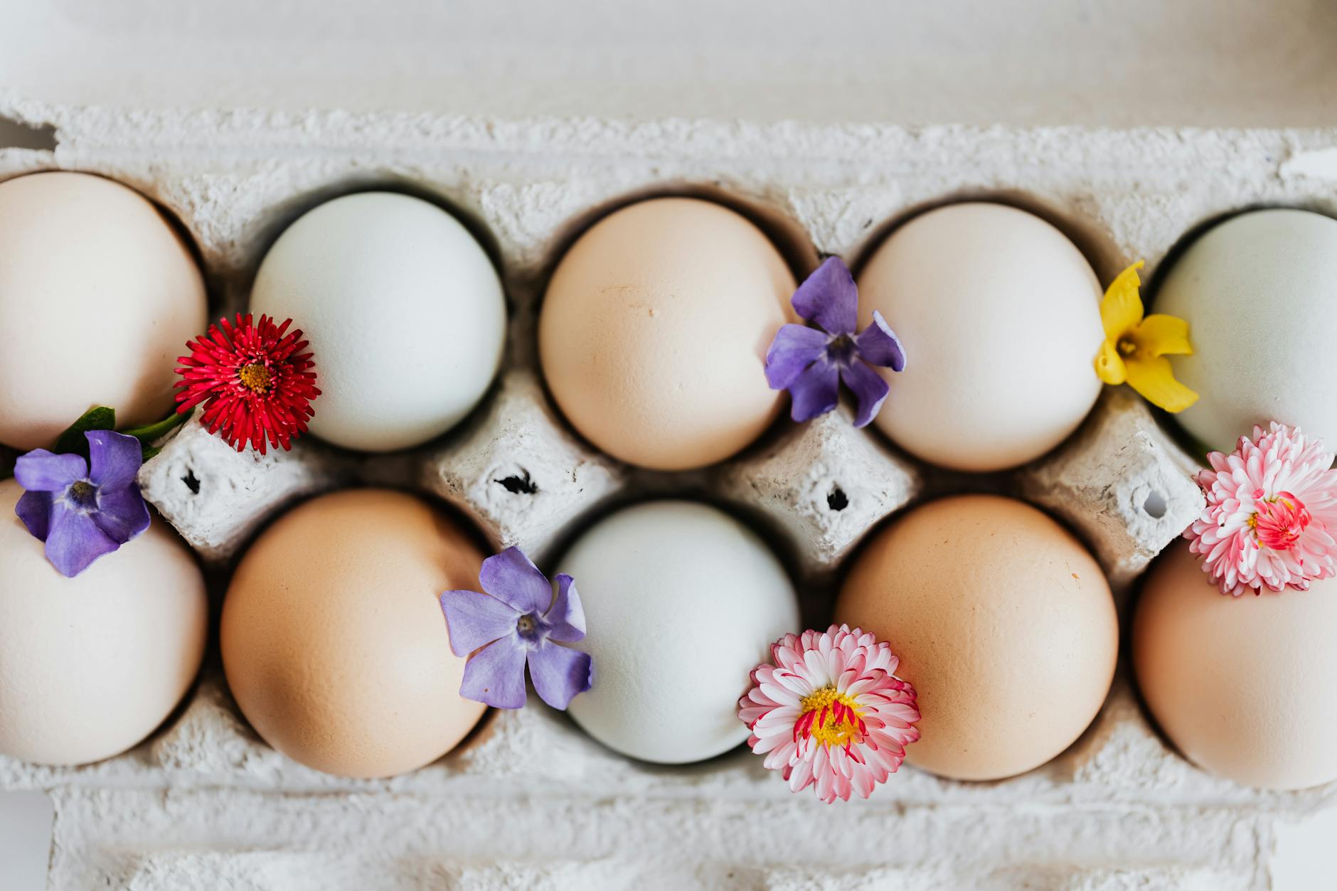 Hospitality News and Industry Resources South Africa Where did Easter Eggs originate?